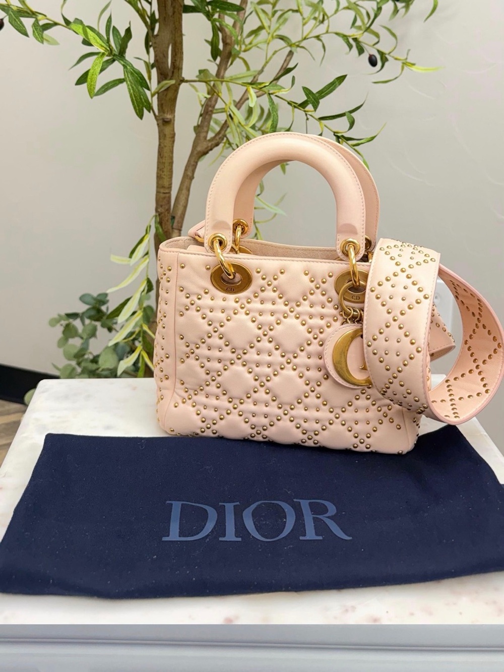 Dior Blush Pink Quilted Mini Tote with Gold Stud Accents